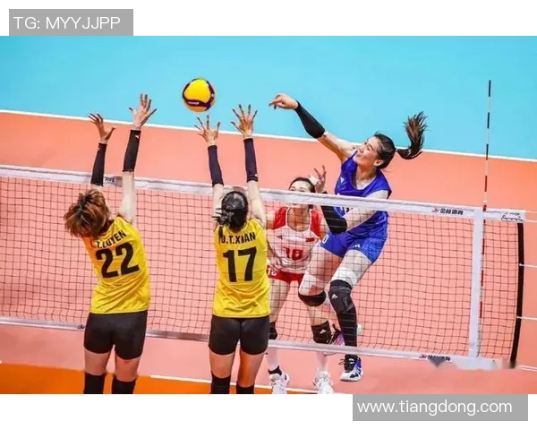 杭州排球队配合策略深度解析与对比研究